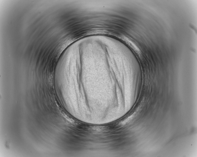 X0000094970953200712201220