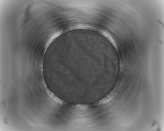 X0000094970954200712201220