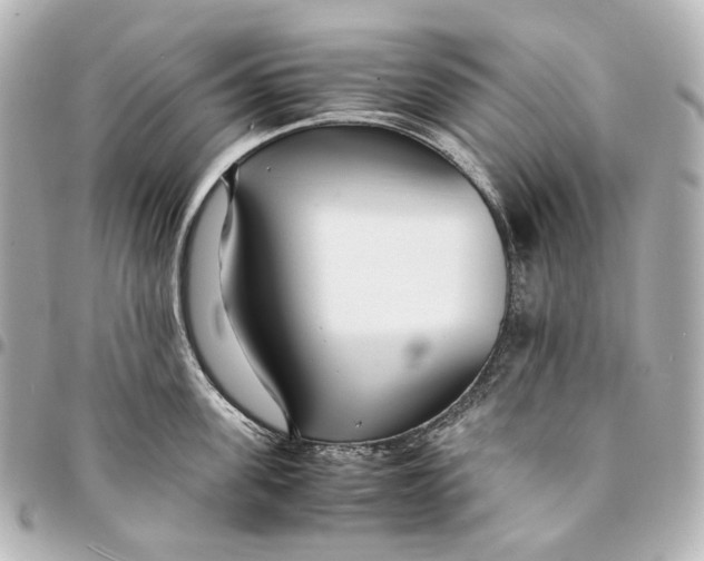 X0000094970955200712201220