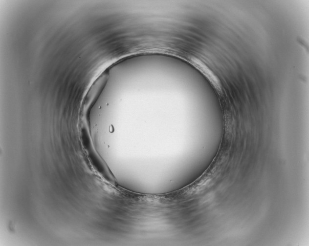 X0000094970956200712201220