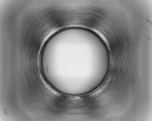 X0000094970957200712201220