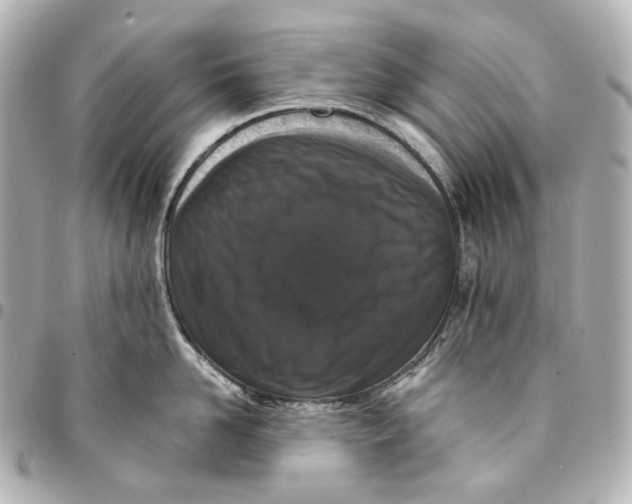 X0000094970958200712201220