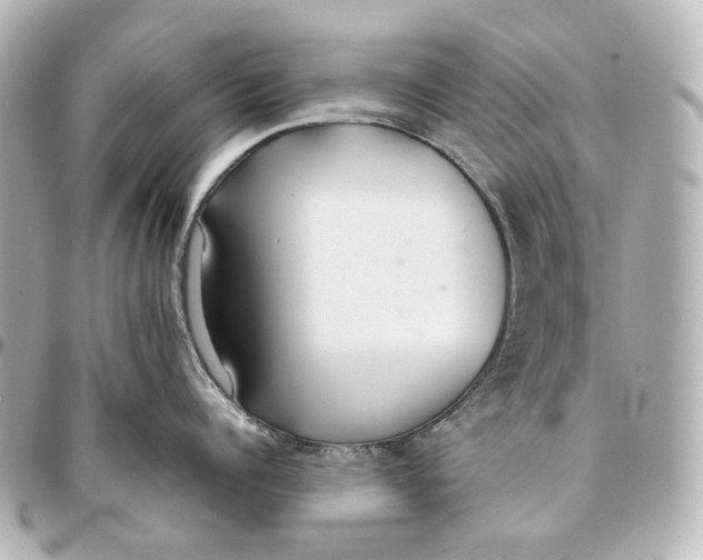 X0000094970960200712201220