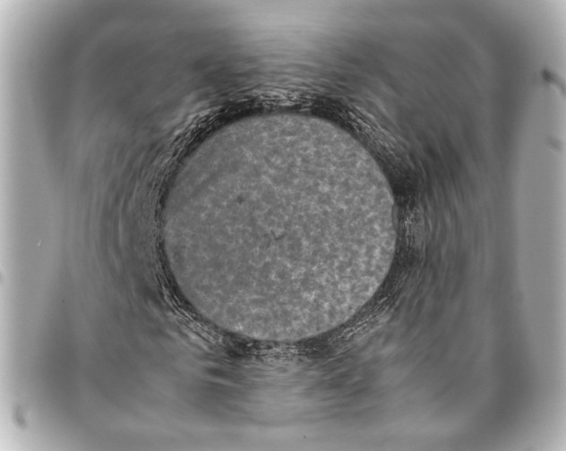 X0000094970961200712201219