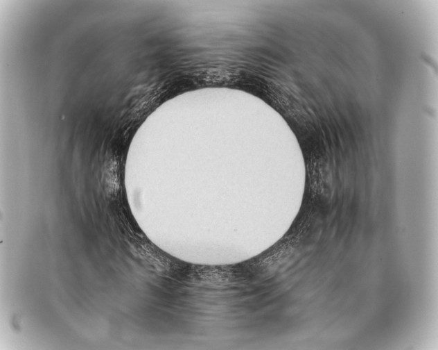 X0000094970962200712201219