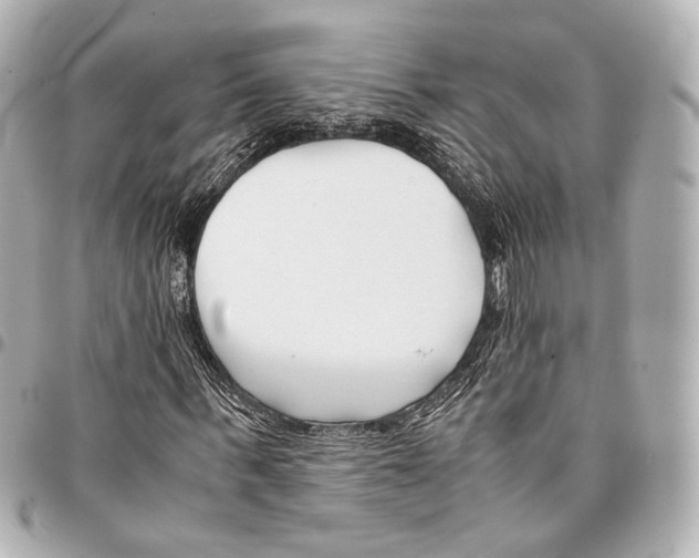 X0000094970963200712201219