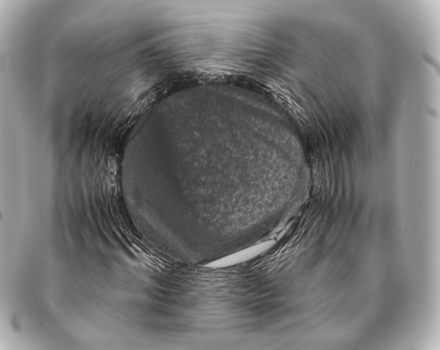 X0000094970964200712201219