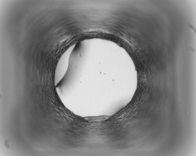 X0000094970965200712201219