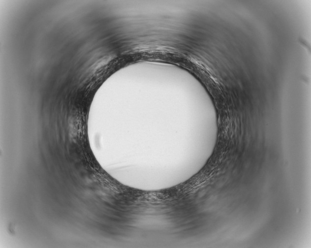 X0000094970966200712201219