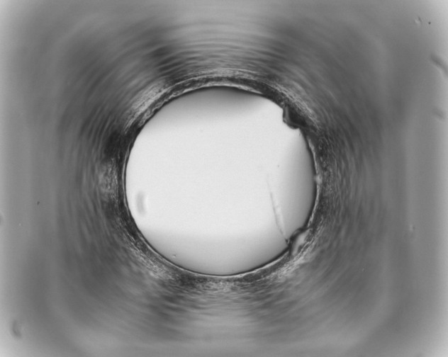 X0000094970969200712201219