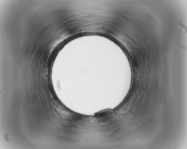 X0000094970971200712201219