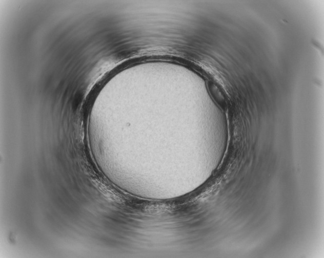 X0000094970973200712201219