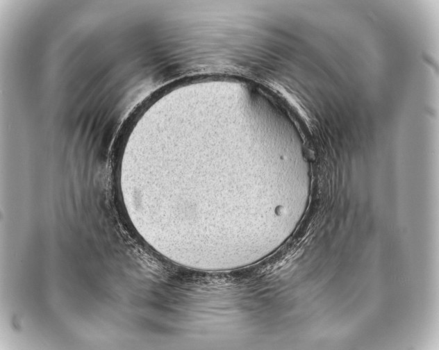 X0000094970975200712201219