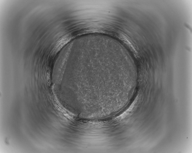 X0000094970977200712201219