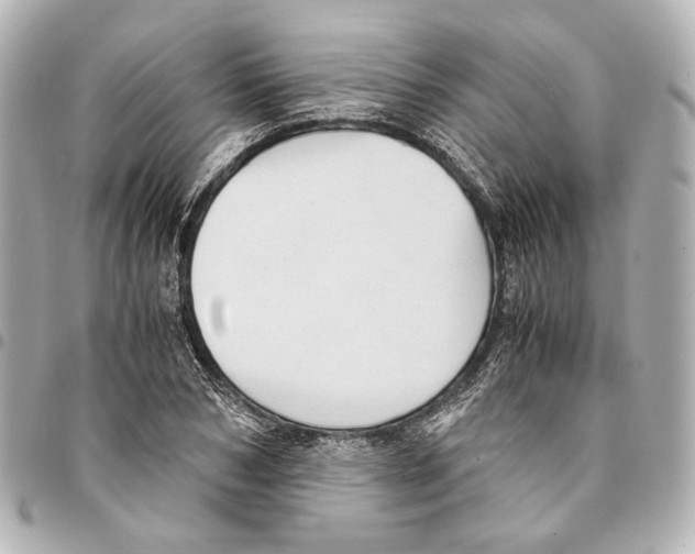 X0000094970978200712201219