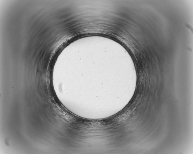 X0000094970979200712201219