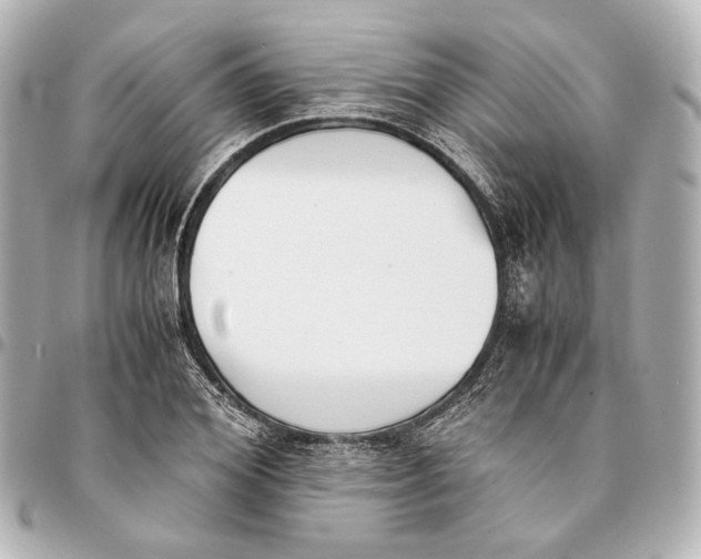 X0000094970980200712201219