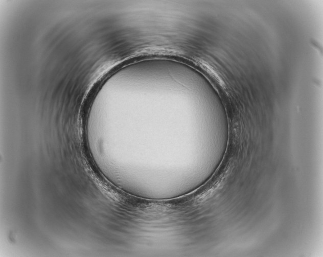 X0000094970981200712201219