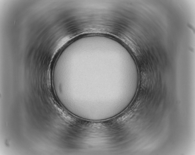 X0000094970982200712201219