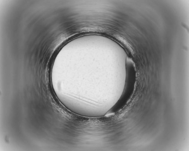 X0000094970983200712201219