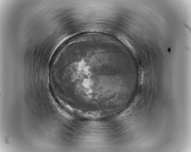 X0000094970984200712201219