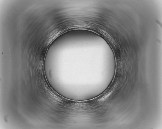 X0000094970985200712201219