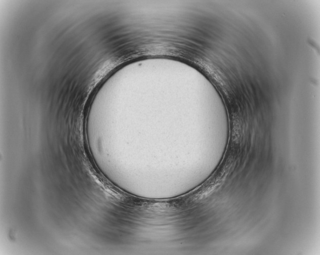 X0000094970986200712201219