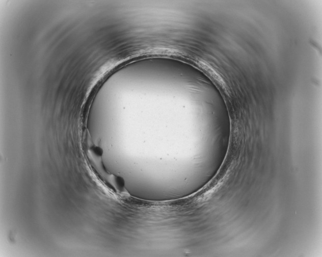 X0000094970989200712201218