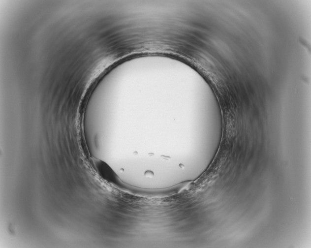 X0000094970990200712201218