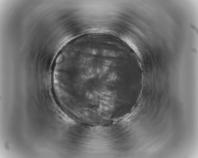 X0000094970992200712201218