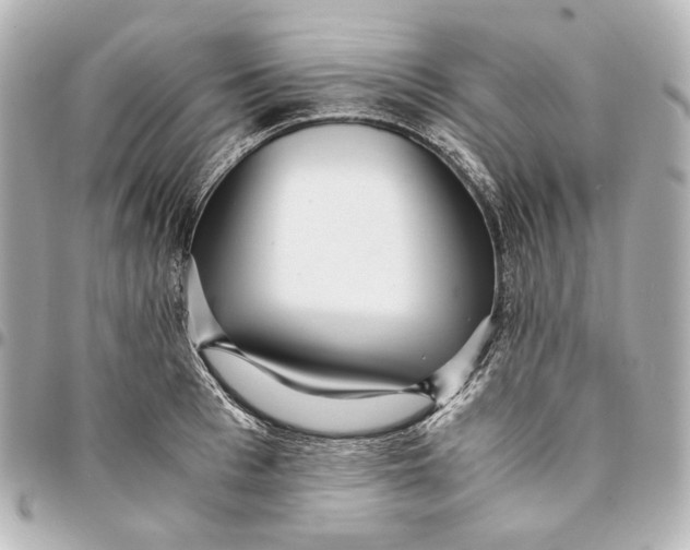 X0000094970993200712201218