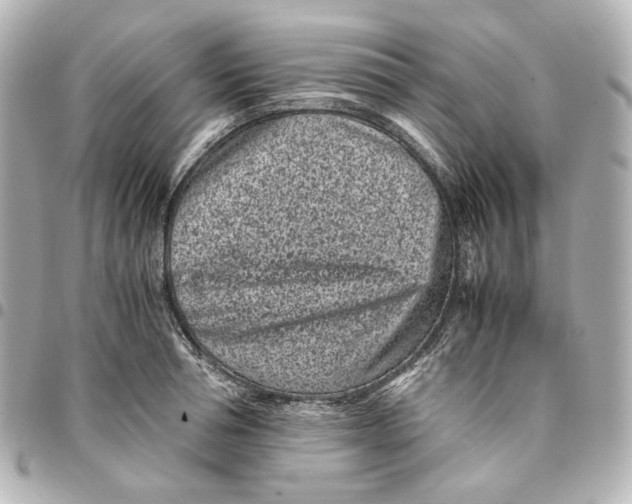 X0000094970994200712201218