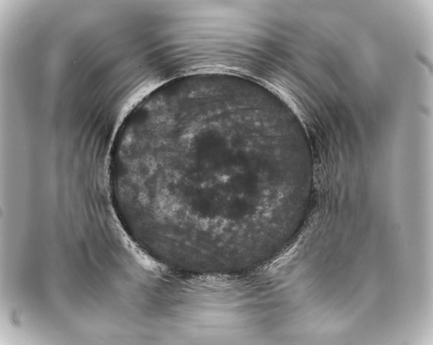 X0000094970995200712201218