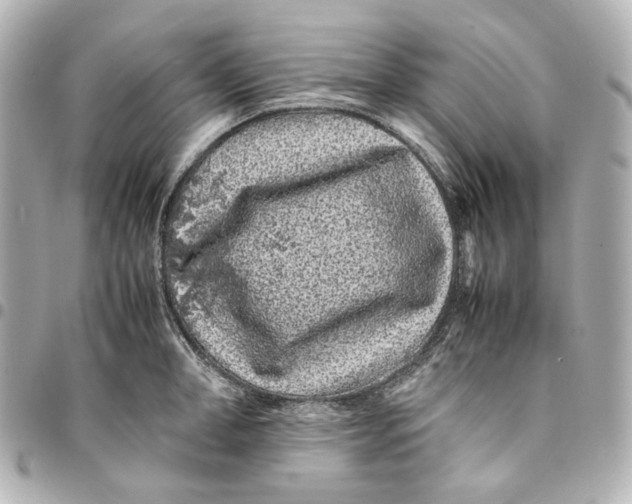 X0000094970998200712201218