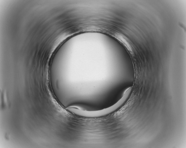 X0000094971000200712201218