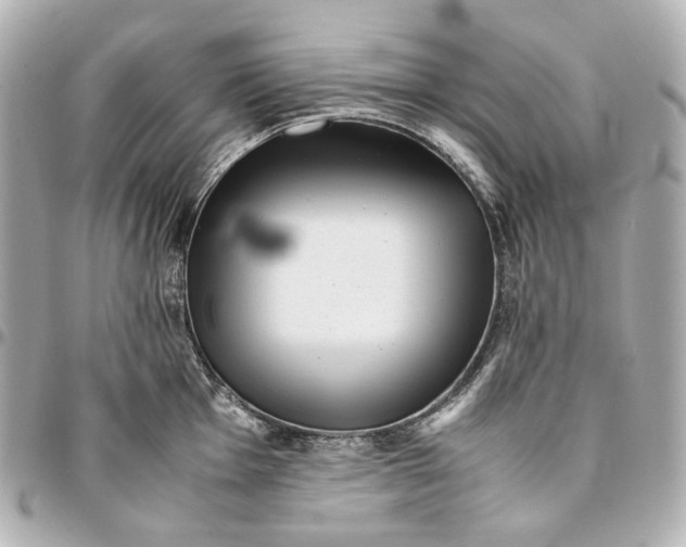 X0000094971001200712201218