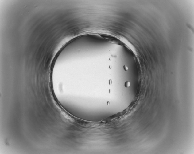 X0000094971005200712201218