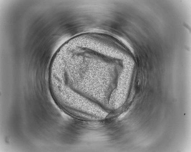 X0000094971007200712201218