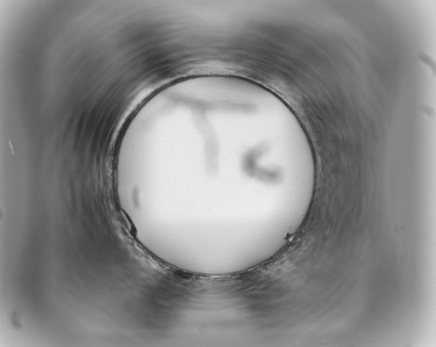 X0000094971008200712201218