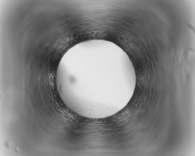 X0000094971010200712201218