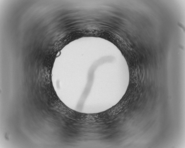 X0000094971013200712201218