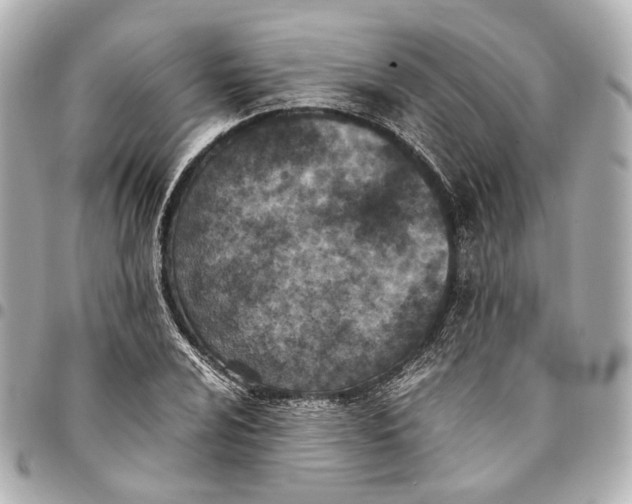 X0000094971024200712201218