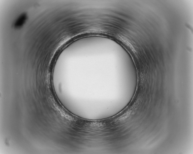 X0000094971029200712201218