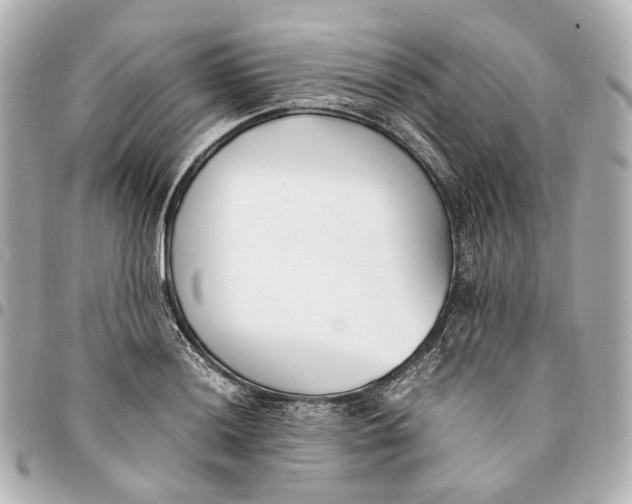 X0000094971036200712201218