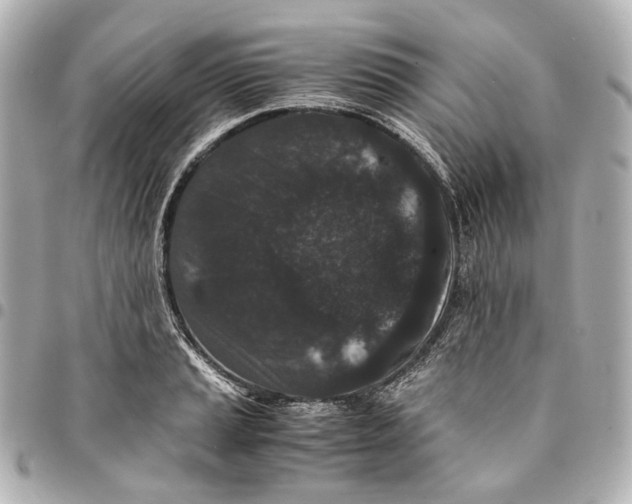 X0000094971037200712201218