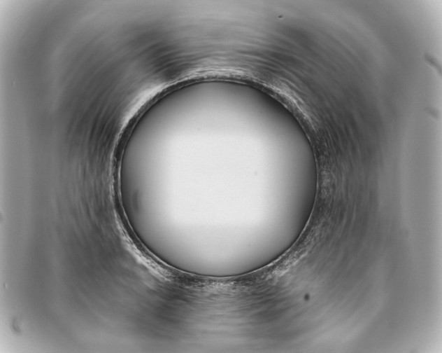 X0000094971038200712201218