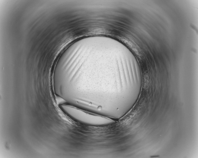 X0000094971039200712201218