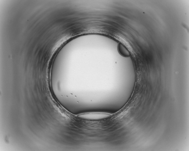 X0000094971043200712201218