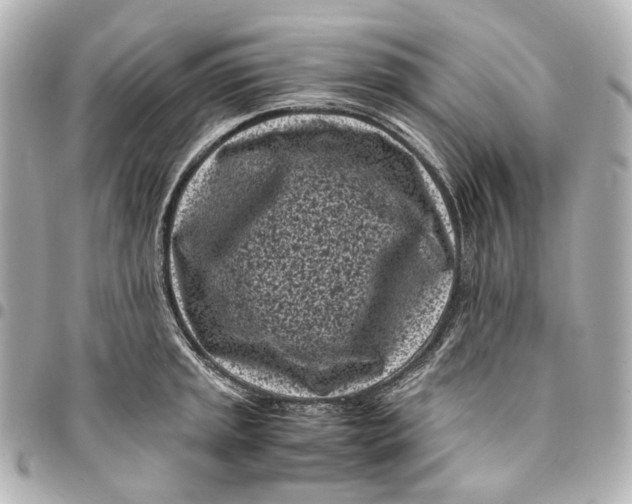 X0000094971045200712201218