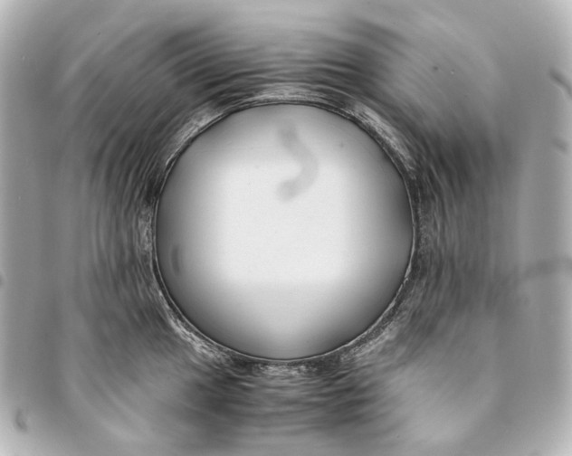 X0000094971049200712201218